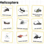 Types of helicopters and their uses