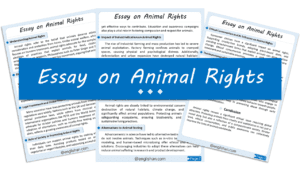 Animal Rights Essay – 10 Lines, 250 Words, and 500 Words