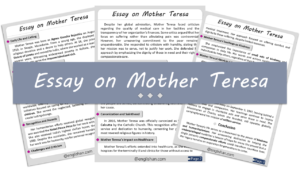 Mother Teresa Essay – 10 Lines, 250 Words, and 500 Words