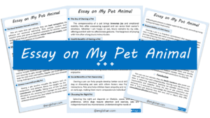 My Pet Animal Essay – 10 Lines, 250 Words, and 500 Words