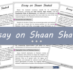 Shaan Shahid Essay – 10 Lines, 250 Words, and 500 Words