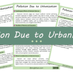 Should Students Get Limited Access to the Internet Essay – 10 Lines, 250 Words, and 500 Words