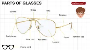 Parts of Glasses – Names and Functions with Pictures