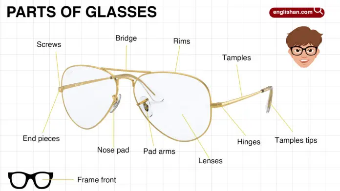 Parts of Glasses – Names and Functions with Pictures