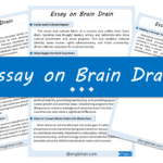 Brain Drain Essay – 10 Lines, 250 Words, and 500 Words