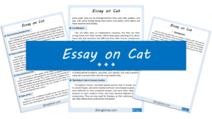 Cat Essay – 10 Lines, 250 Words, and 500 Words