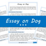 Dog Essay – 10 Lines, 250 Words, and 500 Words