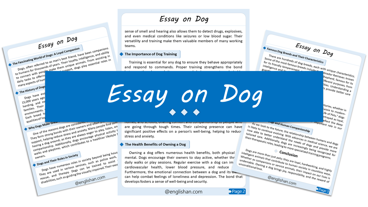 Dog Essay – 10 Lines, 250 Words, and 500 Words