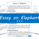 Elephant Essay – 10 Lines, 250 Words, and 500 Words