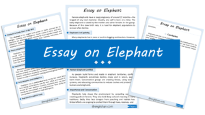 Elephant Essay – 10 Lines, 250 Words, and 500 Words