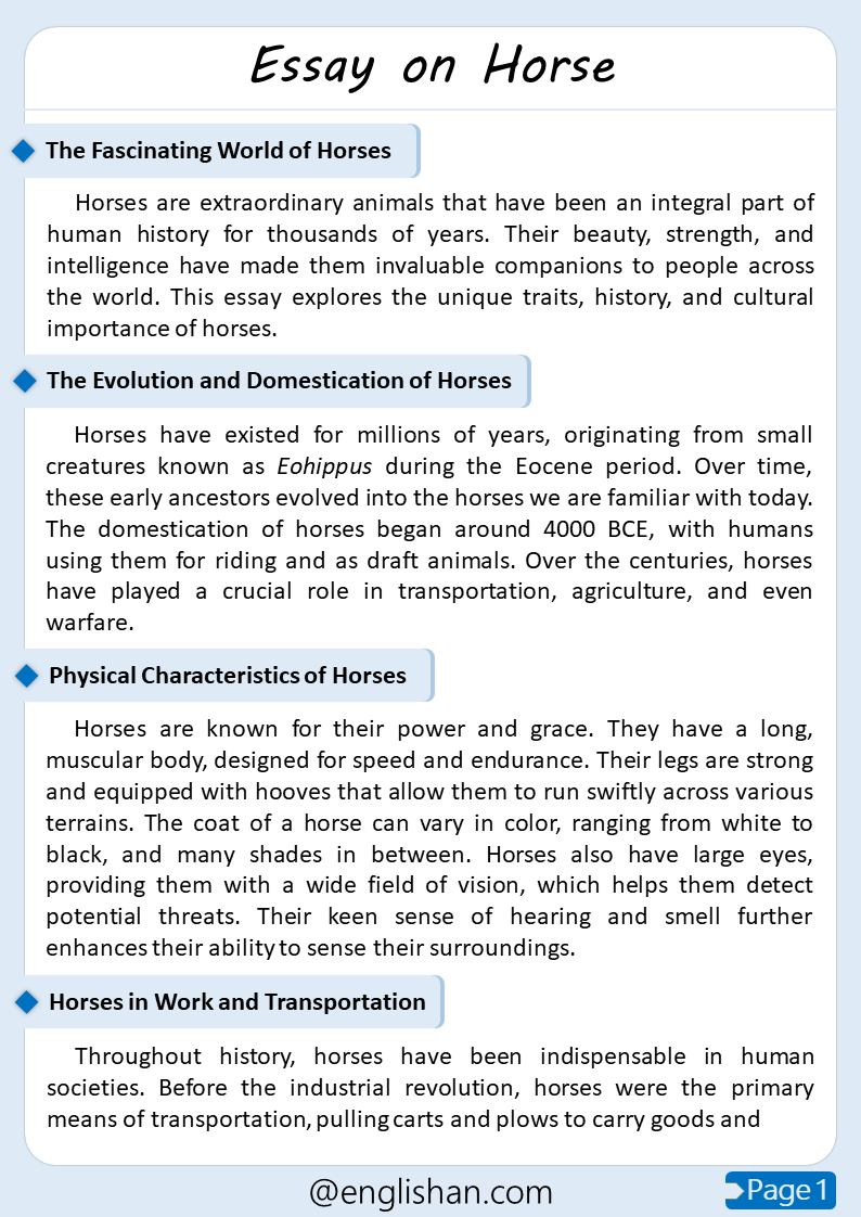 500 Words Horse Essay for Upper Primary and Lower Secondary
