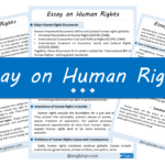 Human Rights Essay – 10 Lines, 250 Words, and 500 Words