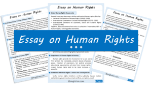 Human Rights Essay – 10 Lines, 250 Words, and 500 Words