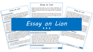 Lion Essay – 10 Lines, 250 Words, and 500 Words