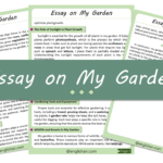 My Garden Essay – 10 Lines, 250 Words, and 500 Words