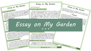 My Garden Essay – 10 Lines, 250 Words, and 500 Words