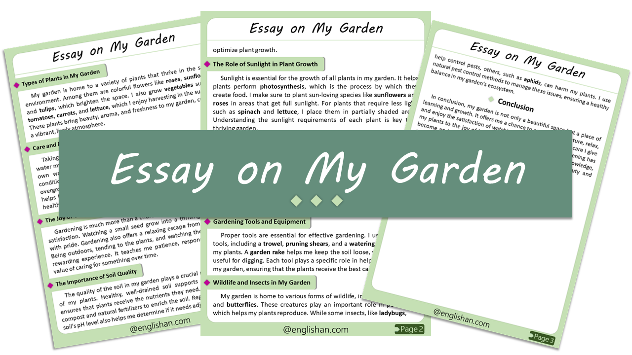My Garden Essay – 10 Lines, 250 Words, and 500 Words