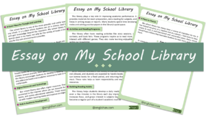 My School Library Essay – 10 Lines, 250 Words, and 500 Words