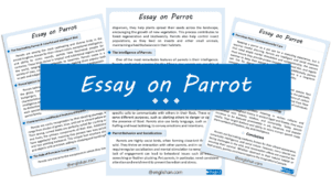 Parrot Essay – 10 Lines, 250 Words, and 500 Words