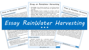 RainWater Harvesting Essay – 10 Lines, 250 Words, and 500 Words