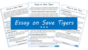 Save Tigers Essay – 10 Lines, 250 Words, and 500 Words