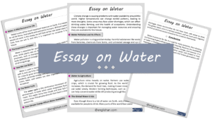 Water Essay – 10 Lines, 250 Words, and 500 Words