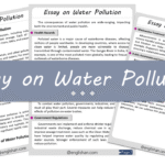 Water Pollution Essay – 10 Lines, 250 Words, and 500 Words
