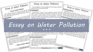 Water Pollution Essay – 10 Lines, 250 Words, and 500 Words