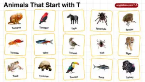 20+ Animals that Start with T in English with Pictures