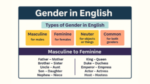 Gender in English and its 4 Types