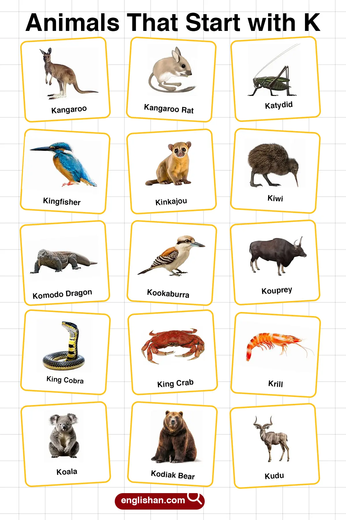 List of Animals Starting with K with Pictures