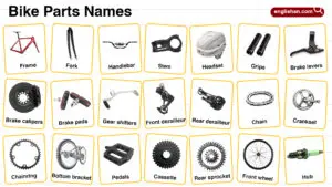 Parts of a Bike: Anatomy, Functions, and Diagram