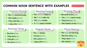 List of common noun examples in English sentences