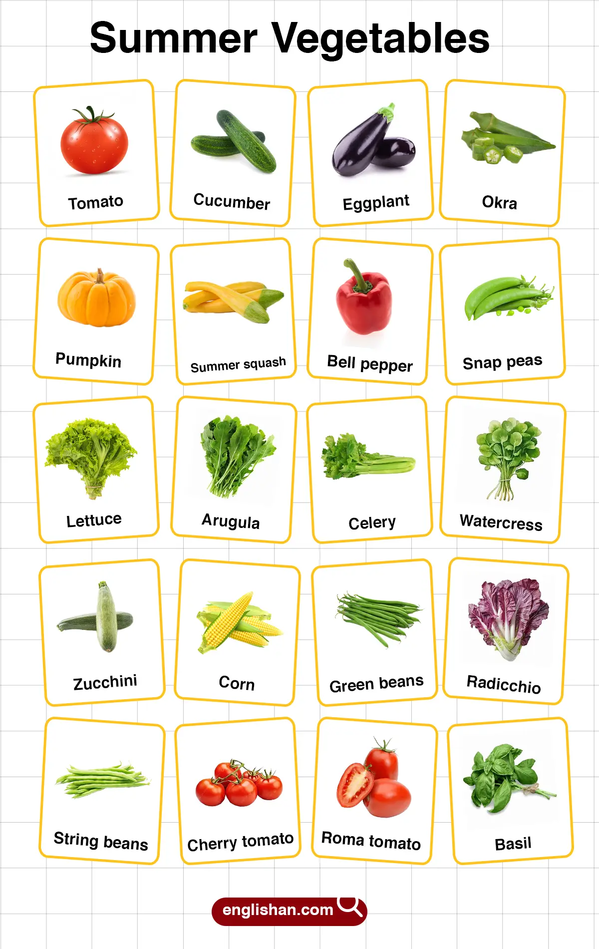 List of Summer Vegetables