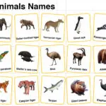 Extinct Animals Names in English with their Pictures