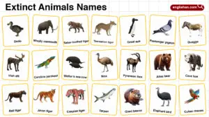 Extinct Animals Names in English with their Pictures