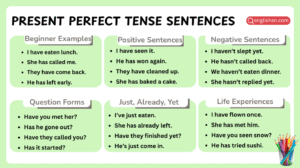 Present Perfect Tense Sentences – Complete List In English
