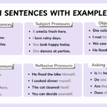 Pronoun sentences in English with clear usage examples