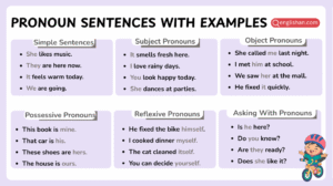 Pronoun sentences in English with clear usage examples
