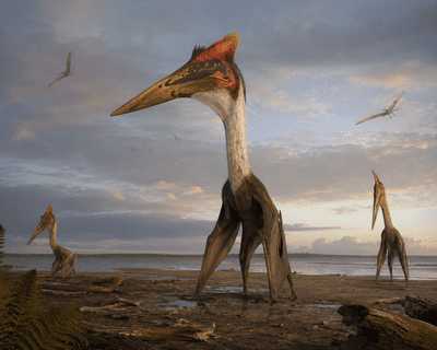 Quetzalcoatlus