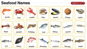 Seafood Names in English with their Pictures