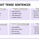 English sentences showing simple past examples for learners.