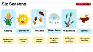 Six Seasons Names in English with their Pictures