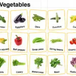 Summer Vegetables Names in English with their Pictures