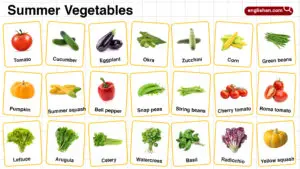 Summer Vegetables Names in English with their Pictures