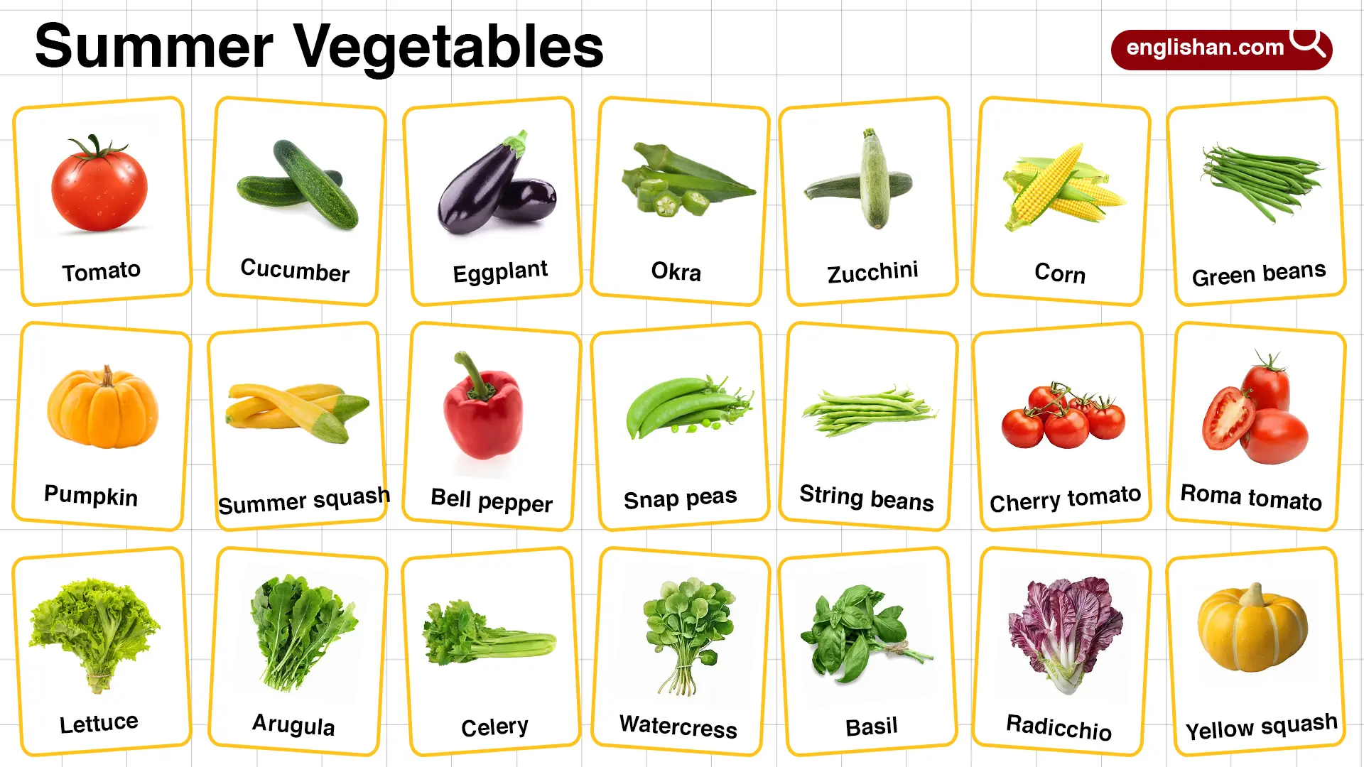 Summer Vegetables Names in English with their Pictures