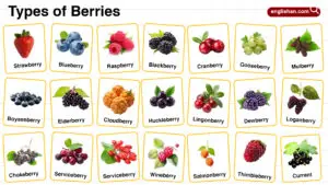 Types of Berries in English with their Pictures