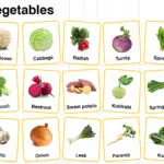 Winter Vegetables Names in English with their Pictures