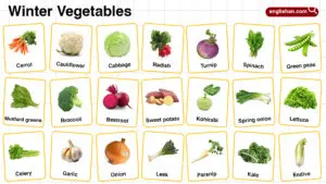 Winter Vegetables Names in English with their Pictures