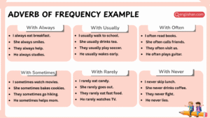Adverb of frequency example sentences with usage in English